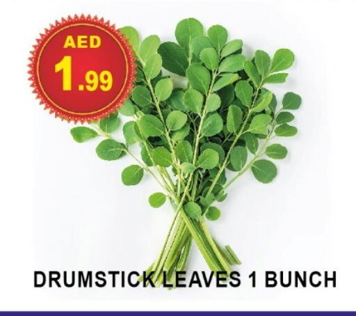 available at AL WAHDA DISCOUNTS CENTRE in UAE - Sharjah / Ajman