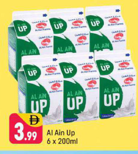 available at شكلان ماركت in الإمارات العربية المتحدة , الامارات - دبي