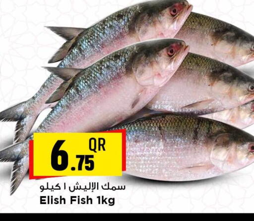 available at Marza Hypermarket in Qatar - Umm Salal