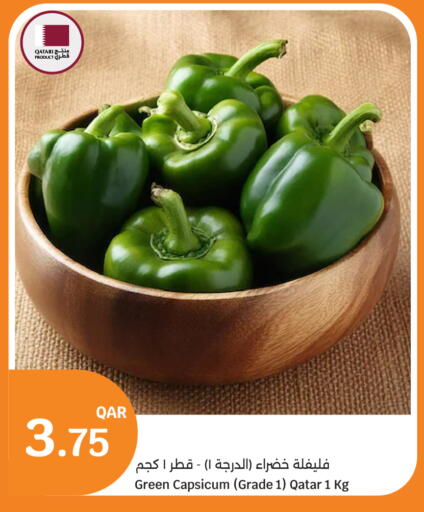 available at سيتي هايبرماركت in قطر - الضعاين