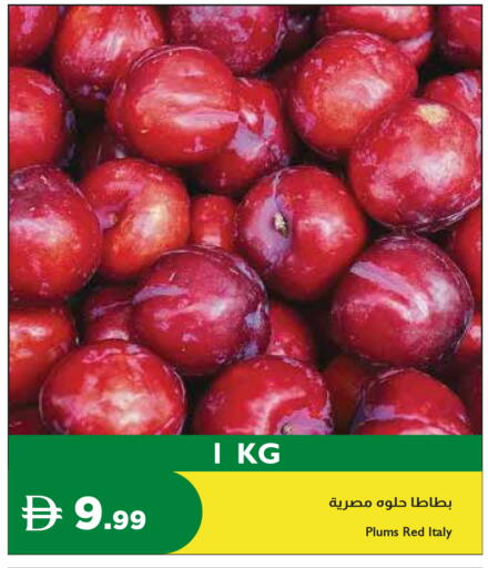 available at إسطنبول سوبرماركت in الإمارات العربية المتحدة , الامارات - أبو ظبي