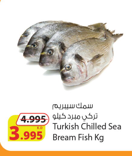 available at Agricultural Food Products Co. in Kuwait - Jahra Governorate