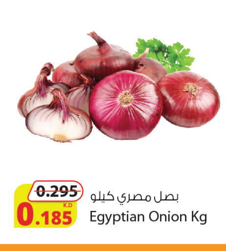 Onion from Egypt available at Agricultural Food Products Co. in Kuwait - Kuwait City