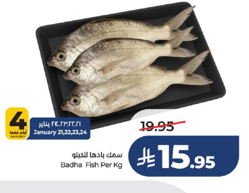 available at LULU Hypermarket in KSA, Saudi Arabia, Saudi - Hail