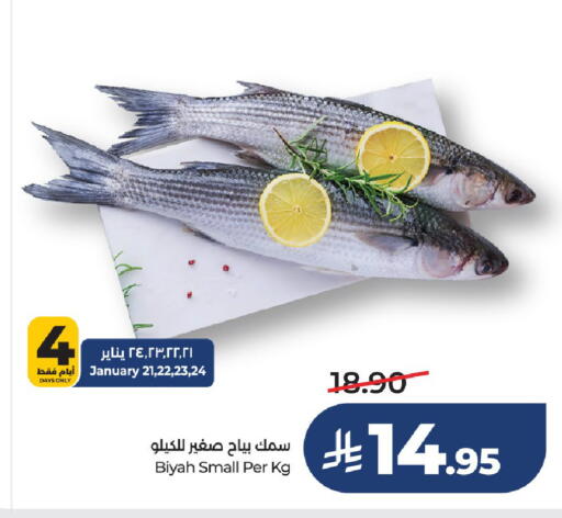 available at LULU Hypermarket in KSA, Saudi Arabia, Saudi - Hail