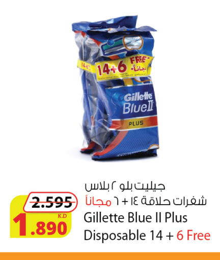 available at Agricultural Food Products Co. in Kuwait - Jahra Governorate
