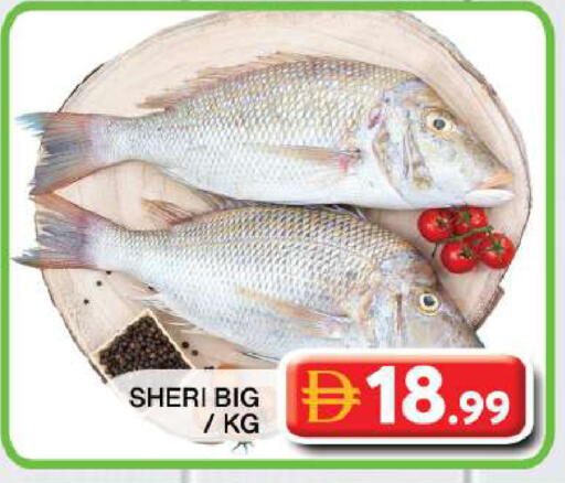 available at جراند هايبر ماركت in الإمارات العربية المتحدة , الامارات - دبي