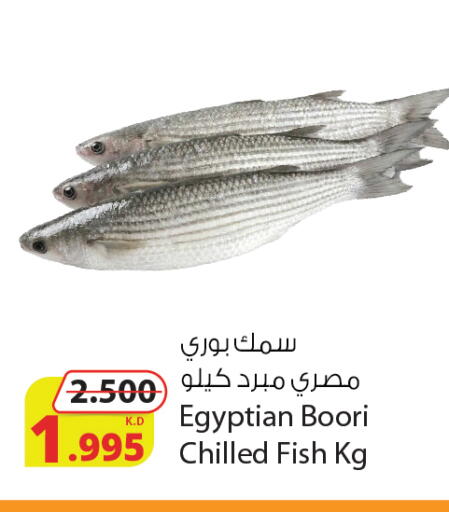 available at Agricultural Food Products Co. in Kuwait - Ahmadi Governorate