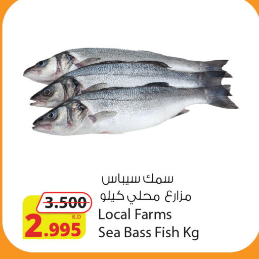 available at شركة المنتجات الزراعية الغذائية in الكويت - محافظة الأحمدي