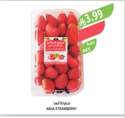Strawberry available at المزرعة in مملكة العربية السعودية, السعودية, سعودية - الباحة