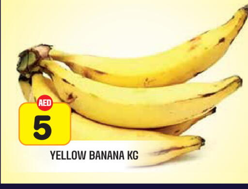 Banana available at Baniyas Spike  in UAE - Ras al Khaimah