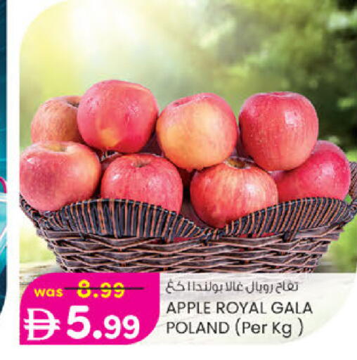 Apple from Poland available at Al Safa in UAE - Al Ain