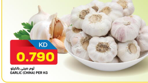 Garlic available at Oncost in Kuwait - Kuwait City
