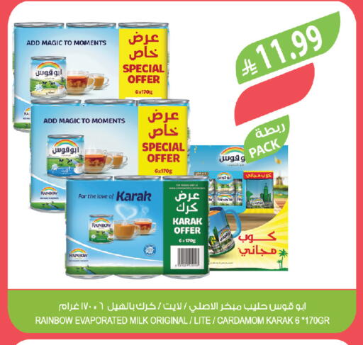 Cardamom available at Farm  in KSA, Saudi Arabia, Saudi - Tabuk