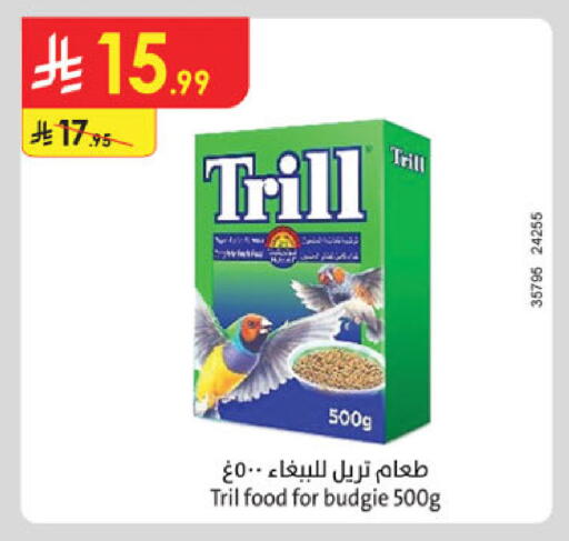 available at Danube in KSA, Saudi Arabia, Saudi - Tabuk