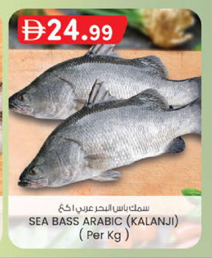 available at الصفا in الإمارات العربية المتحدة , الامارات - أبو ظبي