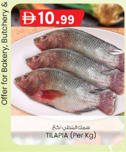 available at الصفا in الإمارات العربية المتحدة , الامارات - أبو ظبي