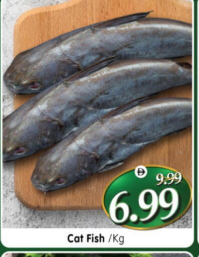 available at هايبر ماركت المدينة in الإمارات العربية المتحدة , الامارات - أبو ظبي