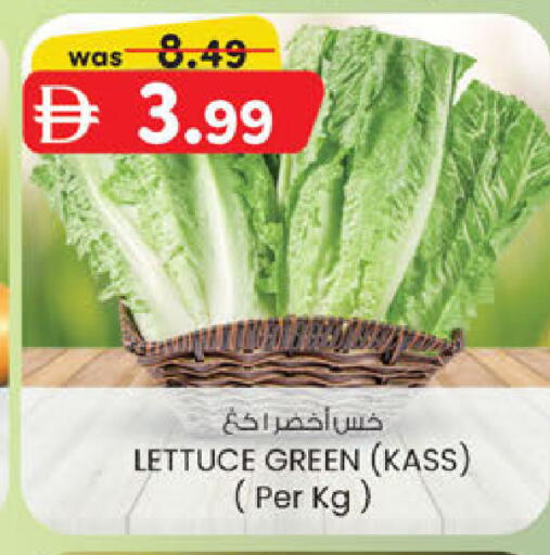 Lettuce available at Al Safa in UAE - Abu Dhabi