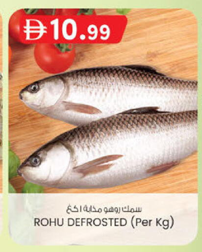 available at الصفا in الإمارات العربية المتحدة , الامارات - أبو ظبي