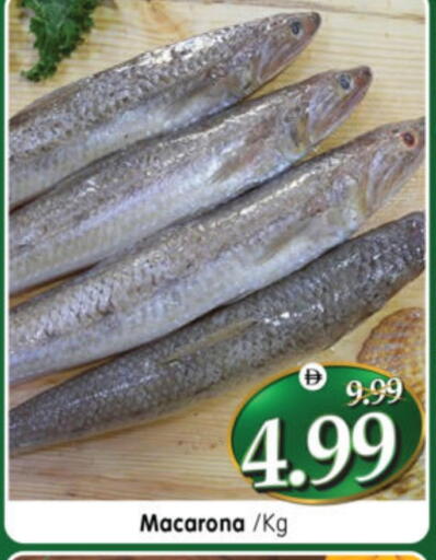 available at هايبر ماركت المدينة in الإمارات العربية المتحدة , الامارات - أبو ظبي