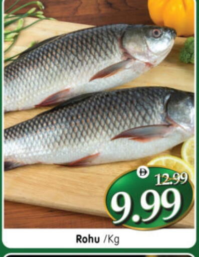 available at هايبر ماركت المدينة in الإمارات العربية المتحدة , الامارات - أبو ظبي