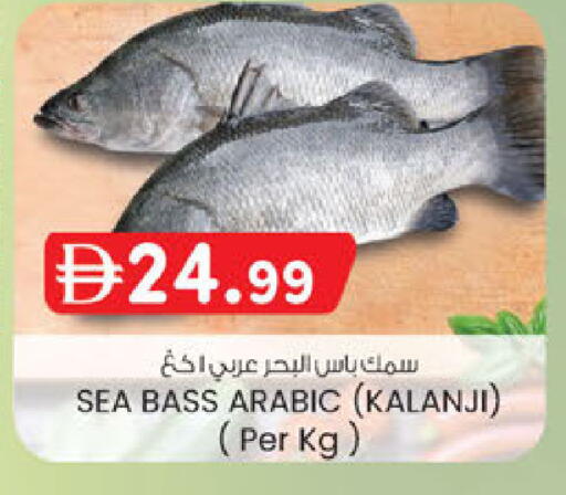 available at ك. الم. للتجارة in الإمارات العربية المتحدة , الامارات - الشارقة / عجمان