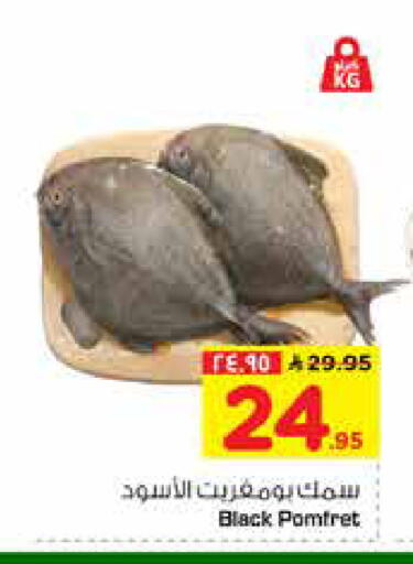 available at هايبر الوفاء in مملكة العربية السعودية, السعودية, سعودية - الخرج