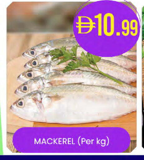 available at Safa Hyper in UAE - Abu Dhabi