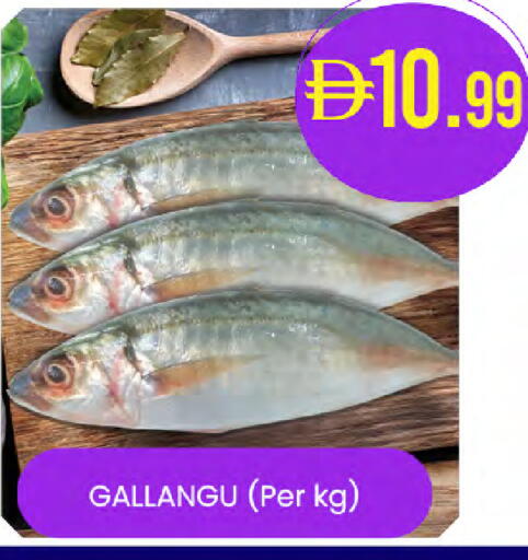 available at Safa Hyper in UAE - Abu Dhabi