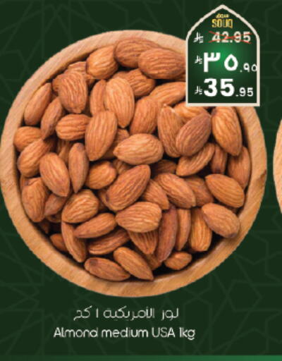 available at ستي فلاور in مملكة العربية السعودية, السعودية, سعودية - الرياض