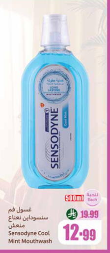 Mint available at Othaim Markets in KSA, Saudi Arabia, Saudi - Tabuk