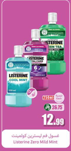 Mint available at Othaim Markets in KSA, Saudi Arabia, Saudi - Tabuk