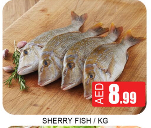 available at لكي سنتر in الإمارات العربية المتحدة , الامارات - الشارقة / عجمان