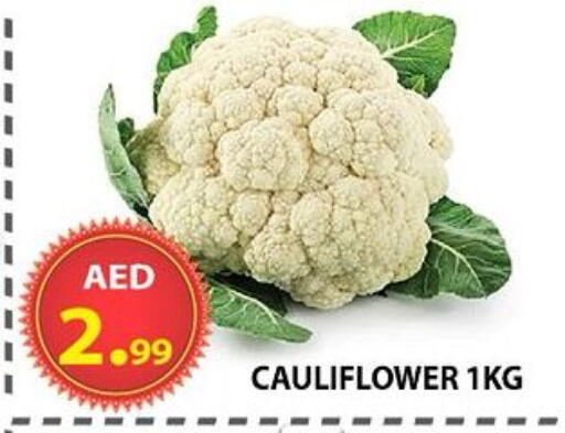 Cauliflower available at مركز الوحدة للتخفيضات in الإمارات العربية المتحدة , الامارات - الشارقة / عجمان