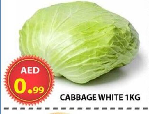 Cabbage available at مركز الوحدة للتخفيضات in الإمارات العربية المتحدة , الامارات - الشارقة / عجمان