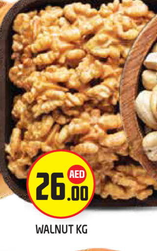 available at سنابل بني ياس in الإمارات العربية المتحدة , الامارات - أبو ظبي