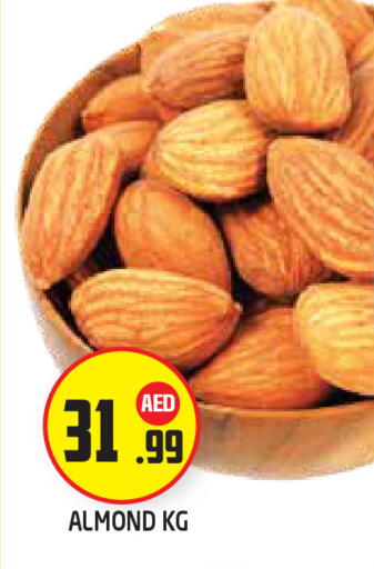 available at سنابل بني ياس in الإمارات العربية المتحدة , الامارات - أبو ظبي