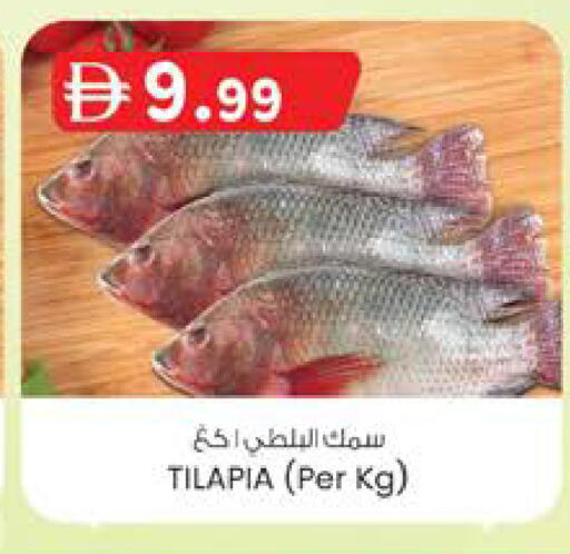 available at K.M Hypermarket in UAE - Abu Dhabi