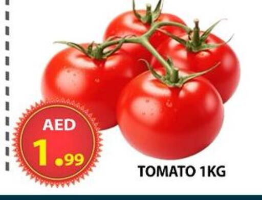 Tomato available at مركز الوحدة للتخفيضات in الإمارات العربية المتحدة , الامارات - الشارقة / عجمان