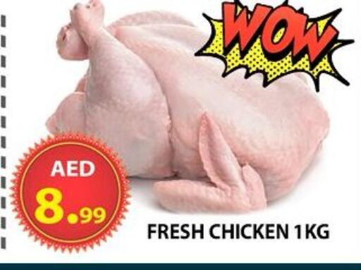 available at مركز الوحدة للتخفيضات in الإمارات العربية المتحدة , الامارات - الشارقة / عجمان