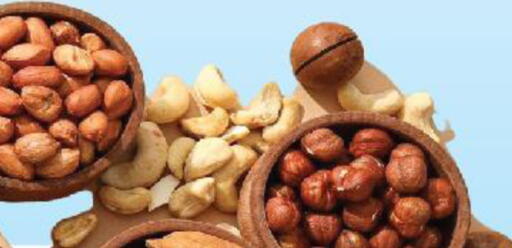 available at House Care in KSA, Saudi Arabia, Saudi - Mecca