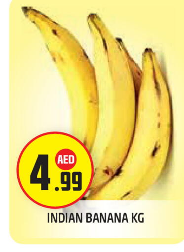 Banana from India available at سنابل بني ياس in الإمارات العربية المتحدة , الامارات - أبو ظبي