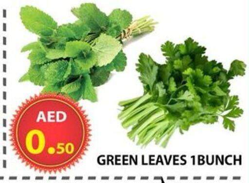 available at مركز الوحدة للتخفيضات in الإمارات العربية المتحدة , الامارات - الشارقة / عجمان