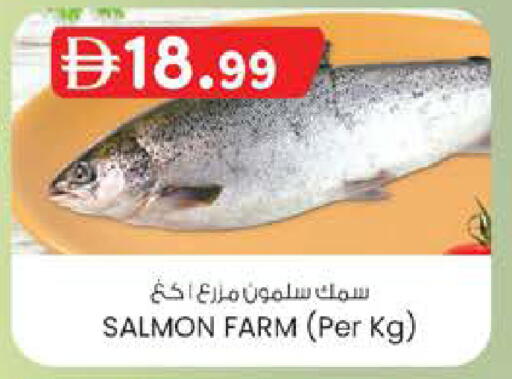 available at ك. إم. هايبرماركت in الإمارات العربية المتحدة , الامارات - الشارقة / عجمان