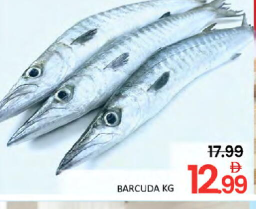 available at المدينة in الإمارات العربية المتحدة , الامارات - دبي