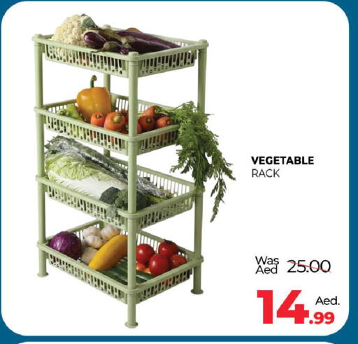 available at المدينة in الإمارات العربية المتحدة , الامارات - دبي