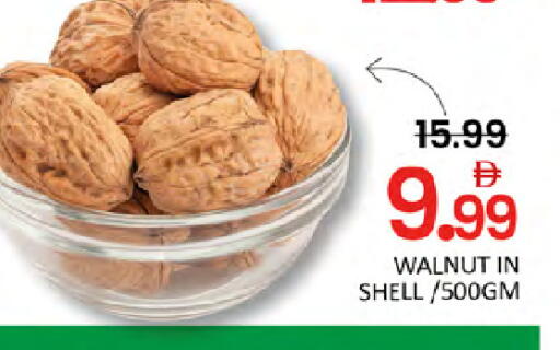 available at المدينة in الإمارات العربية المتحدة , الامارات - دبي