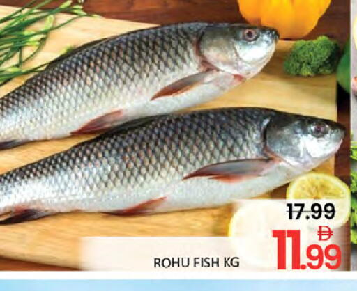 available at المدينة in الإمارات العربية المتحدة , الامارات - رَأْس ٱلْخَيْمَة