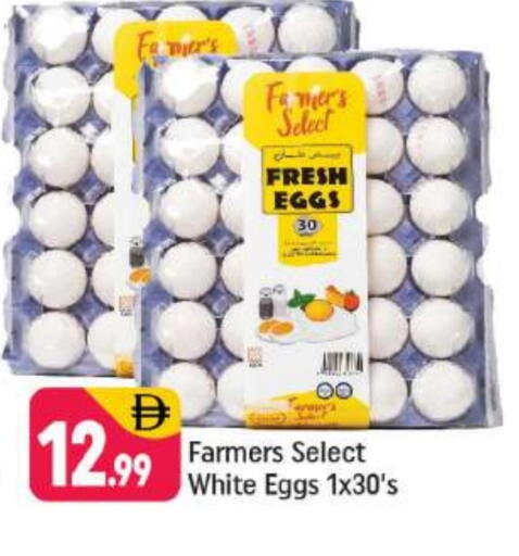 available at شكلان ماركت in الإمارات العربية المتحدة , الامارات - دبي